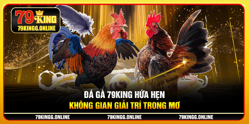 Đá gà 79KING hứa hẹn không gian giải trí trong mơ